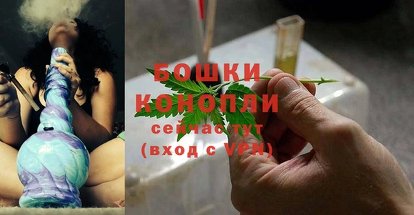 шишки Кукмор