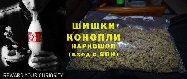 индика Красноперекопск
