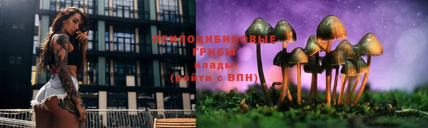 спайс Куйбышев