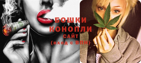 индика Красноперекопск