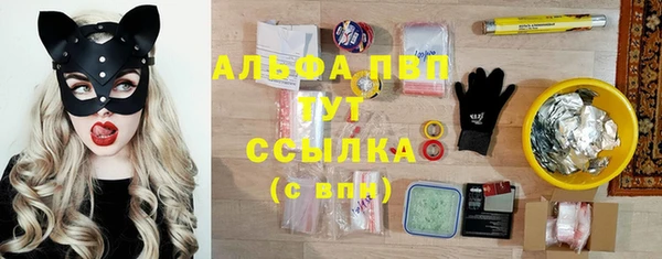 индика Красноперекопск