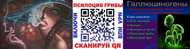 купить наркотик  darknet как зайти  Псилоцибиновые грибы MAGIC MUSHROOMS  Димитровград 