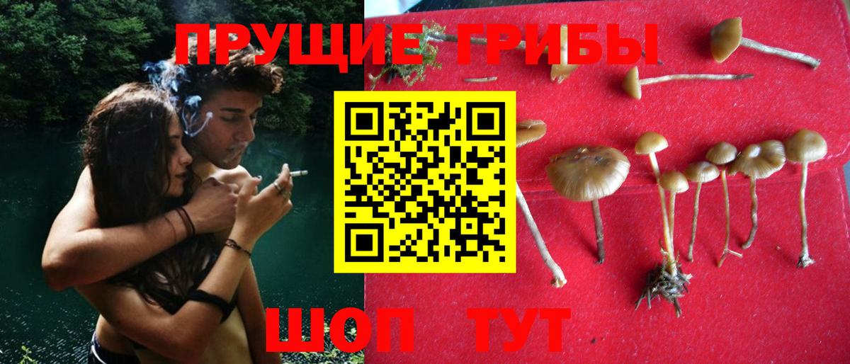 Псилоцибиновые грибы GOLDEN TEACHER  Димитровград  Галлюциногенные грибы мухоморы 