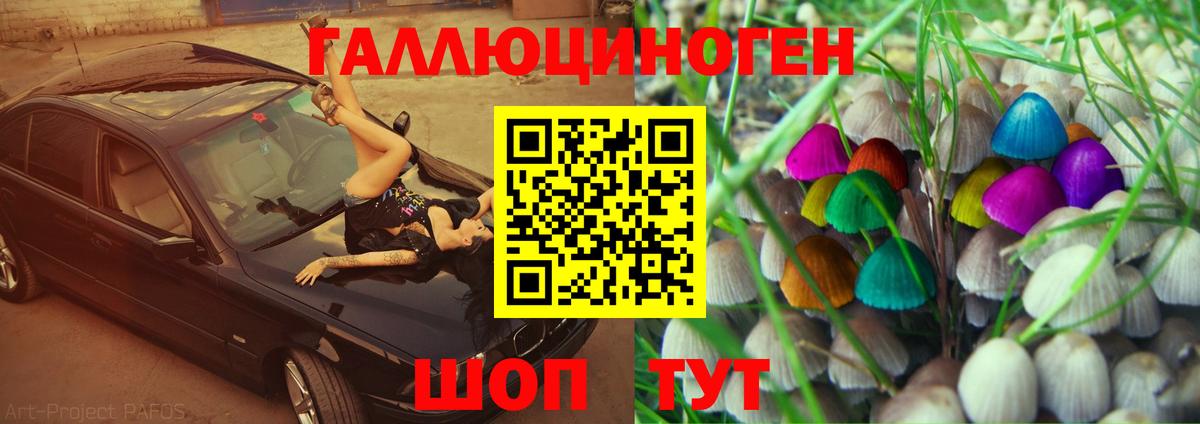 Псилоцибиновые грибы мухоморы Димитровград