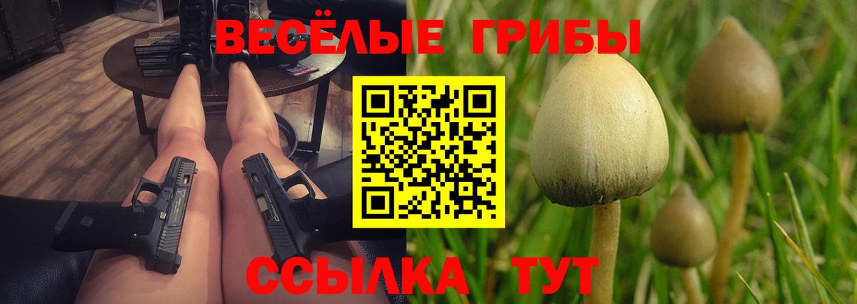 Галлюциногенные грибы Psilocybine cubensis Димитровград