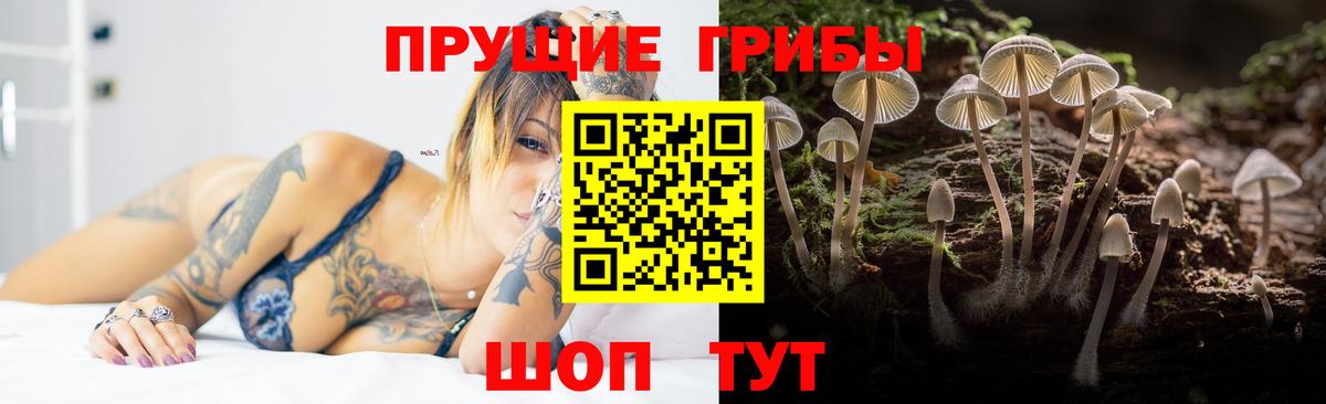 Димитровград  Галлюциногенные грибы Psilocybine cubensis  Вход с VPN 