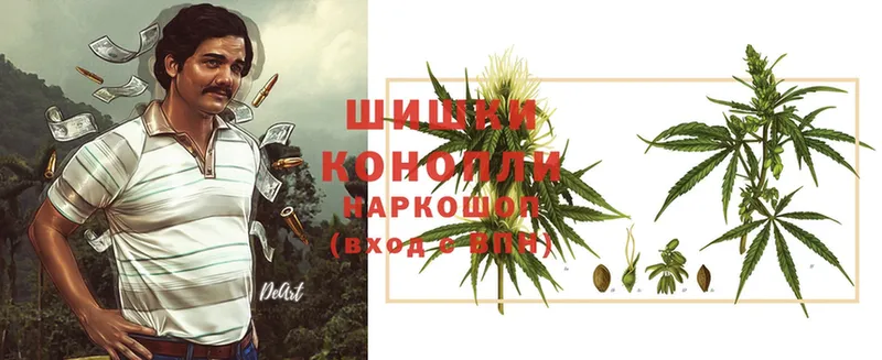 МАРИХУАНА планчик  Димитровград 