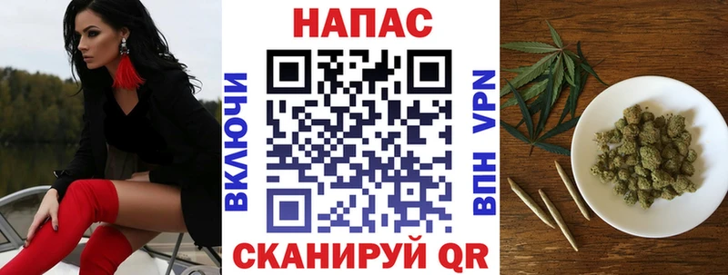 OMG ссылка  Димитровград  МАРИХУАНА гибрид  цены наркотик 