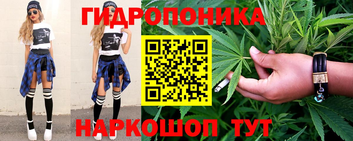 Каннабис OG Kush Димитровград